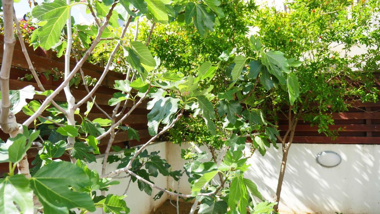 Villa Nova بروتاراس المظهر الخارجي الصورة